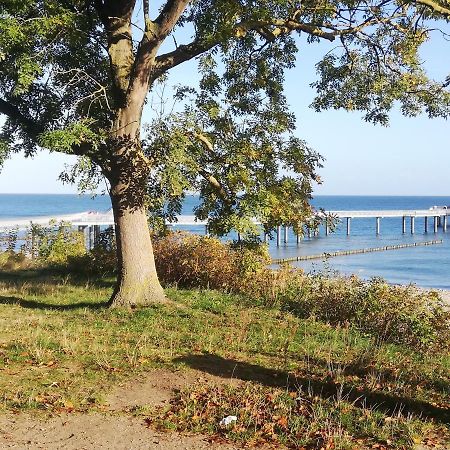 Ostseetraum Koserow Екстериор снимка