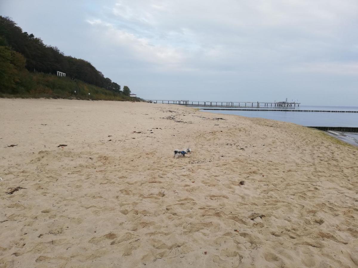 Ostseetraum Koserow Екстериор снимка